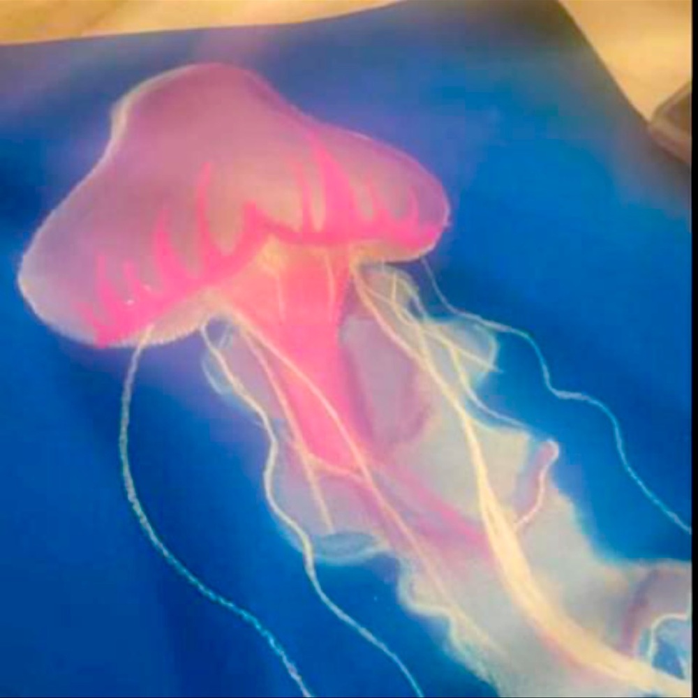 Jellyfish painting